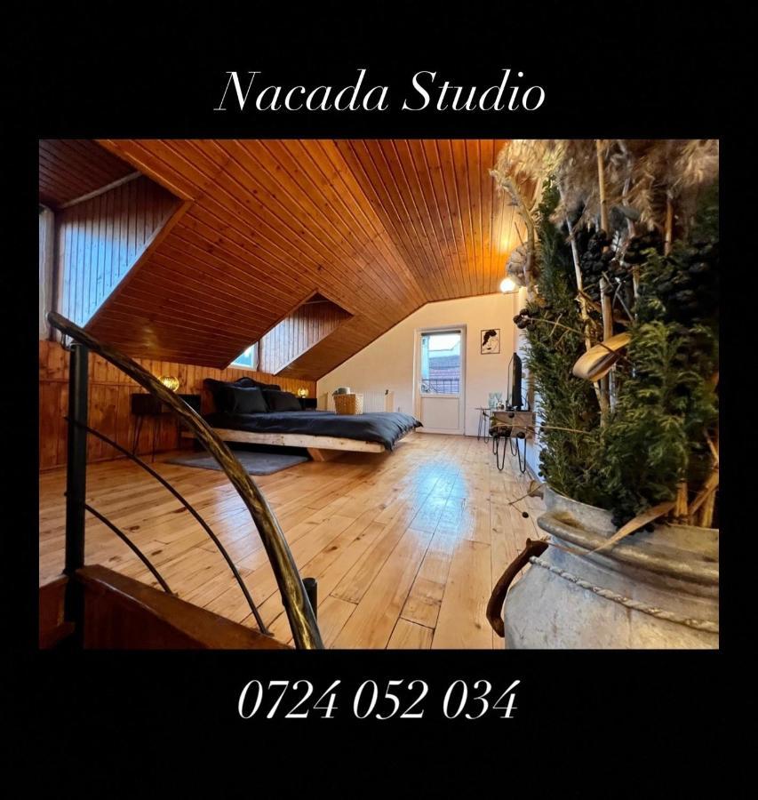 Nacada Studio By Hyco Lägenhet Sighişoara Exteriör bild