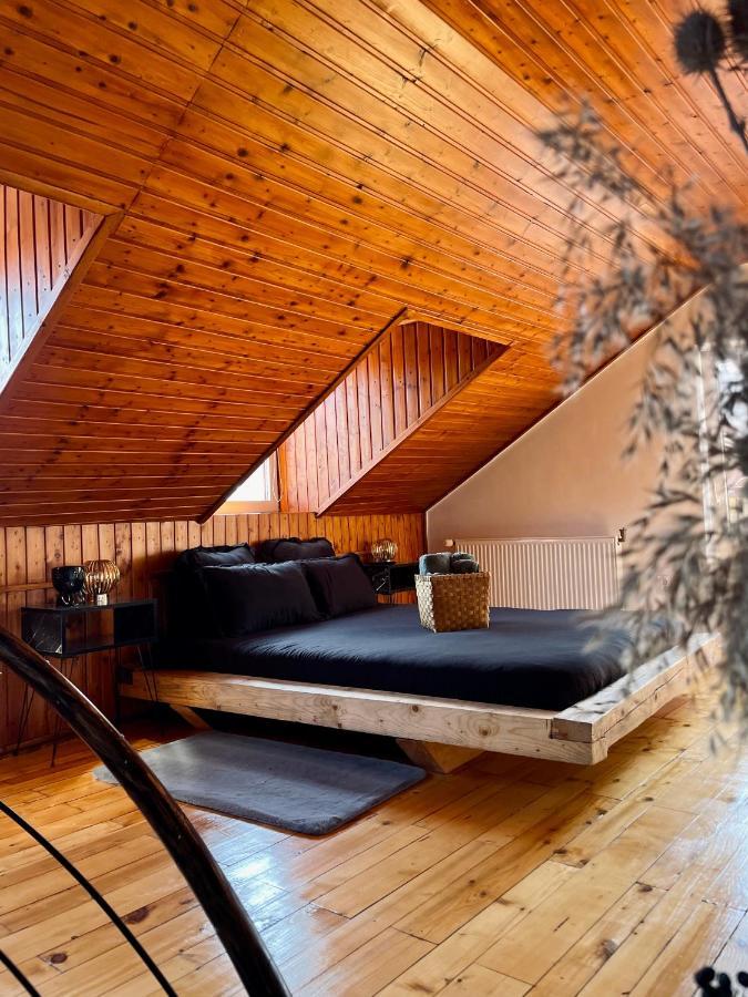Nacada Studio By Hyco Lägenhet Sighişoara Exteriör bild